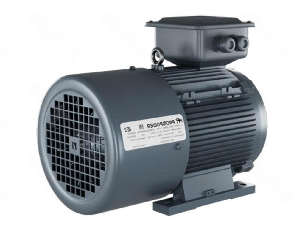 Электродвигатель 1LE9303-1DB43-3AA4 PROMPOWER